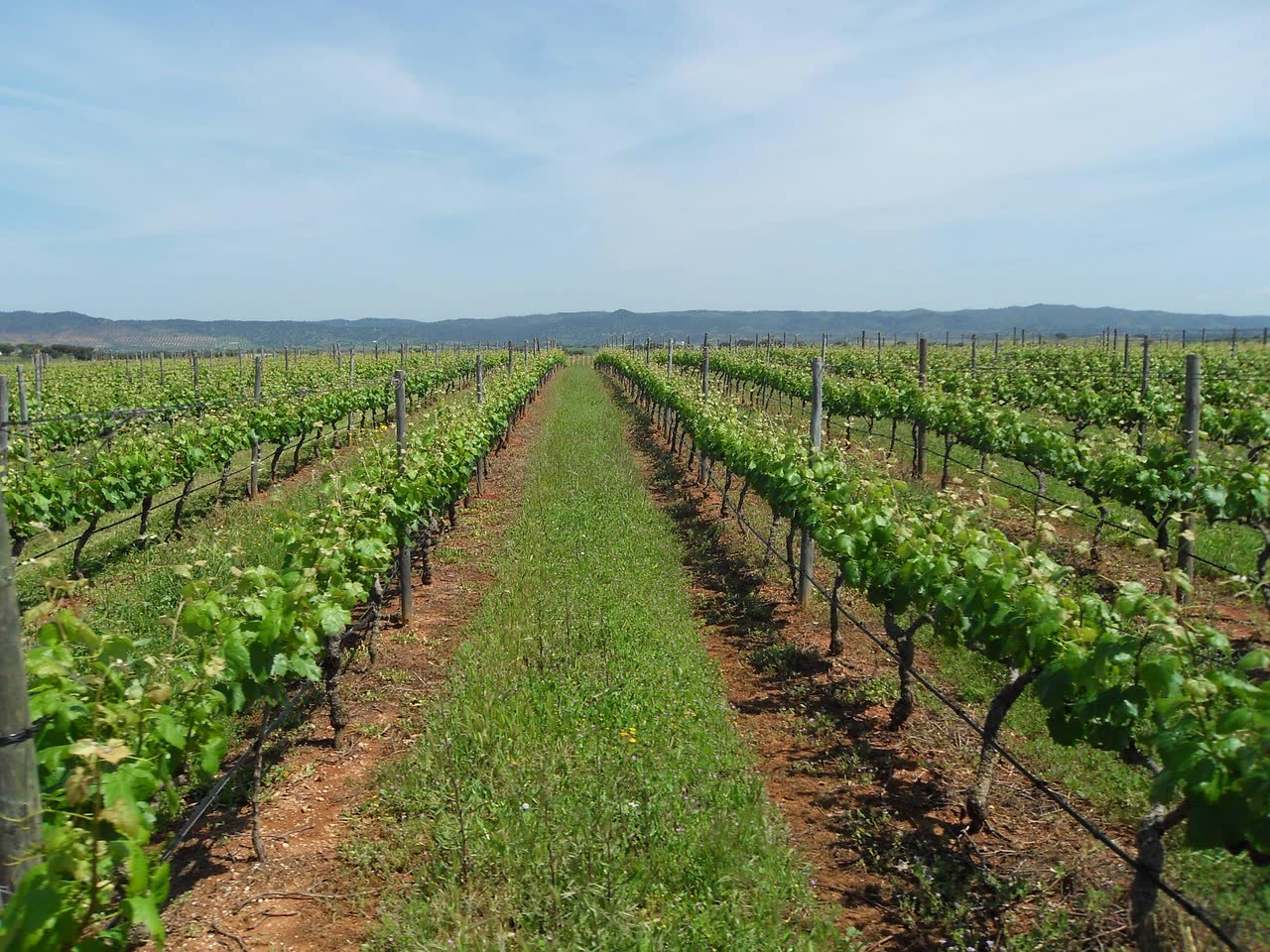 The Best Alentejo Hotels