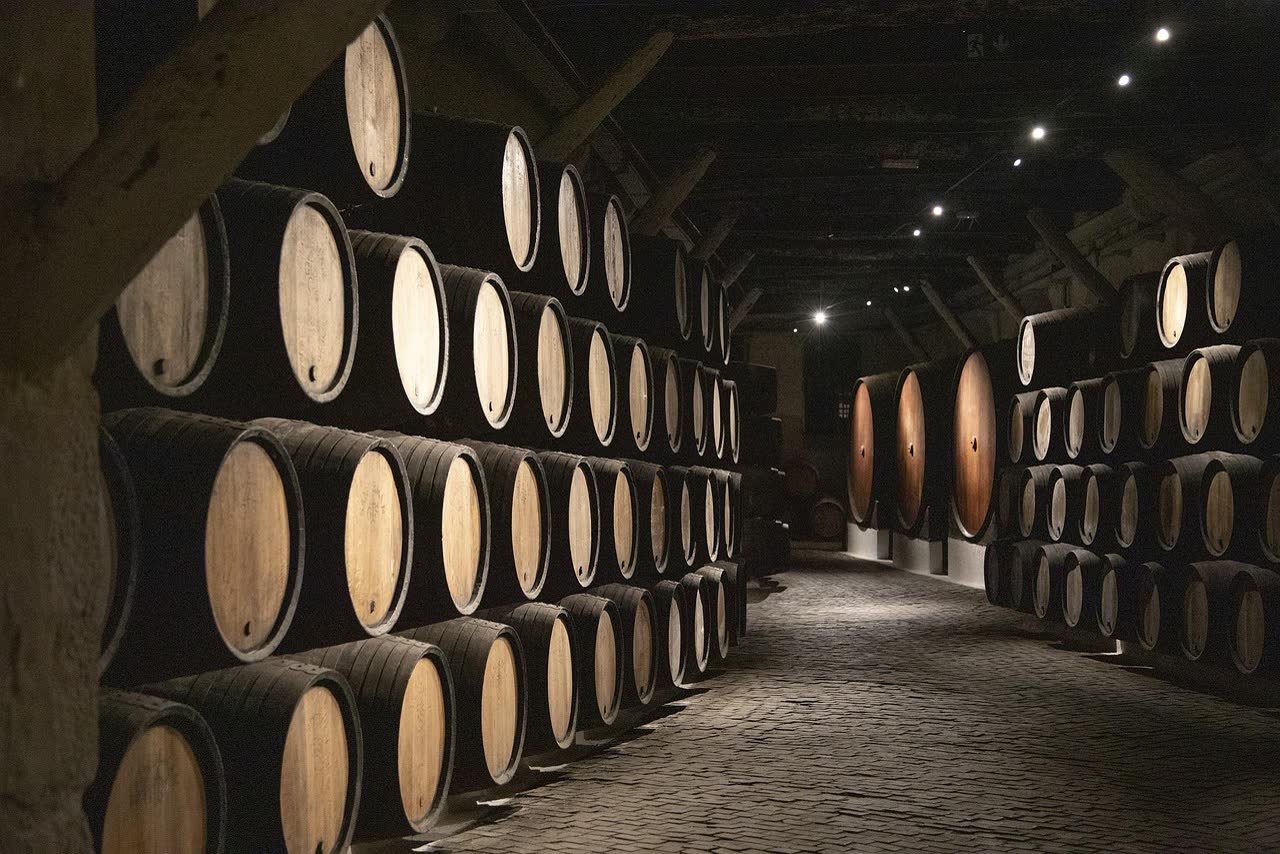 The Best Port Cellars in Gaia
