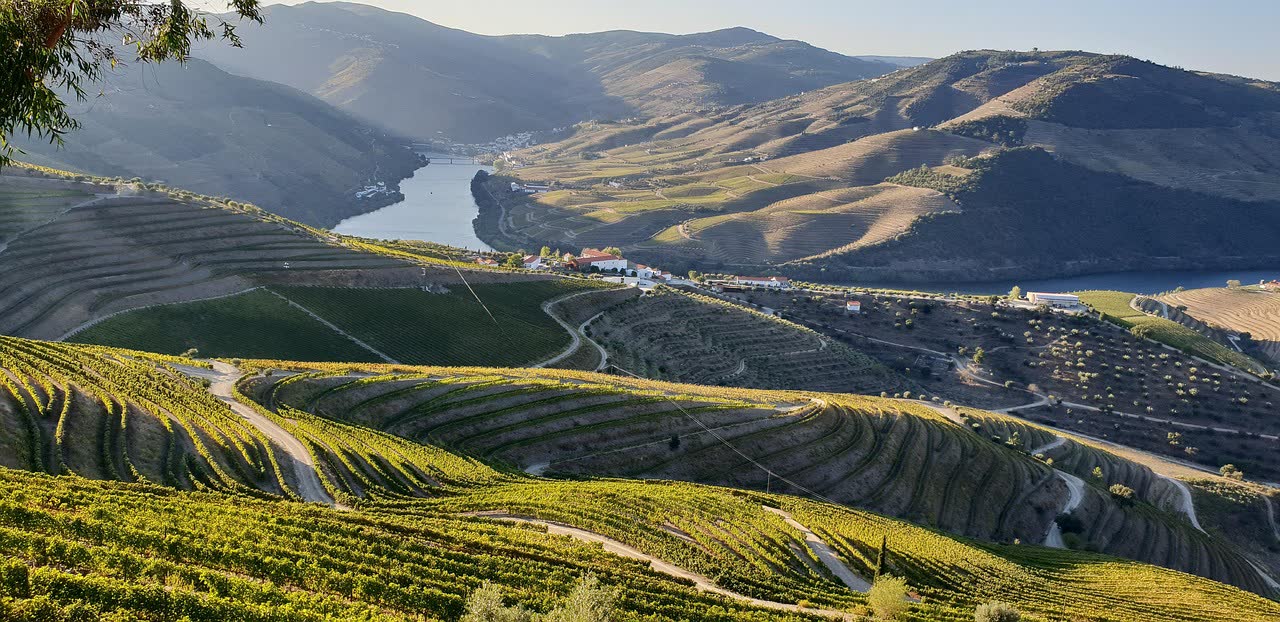 The Best Time to Visit the Douro Valley