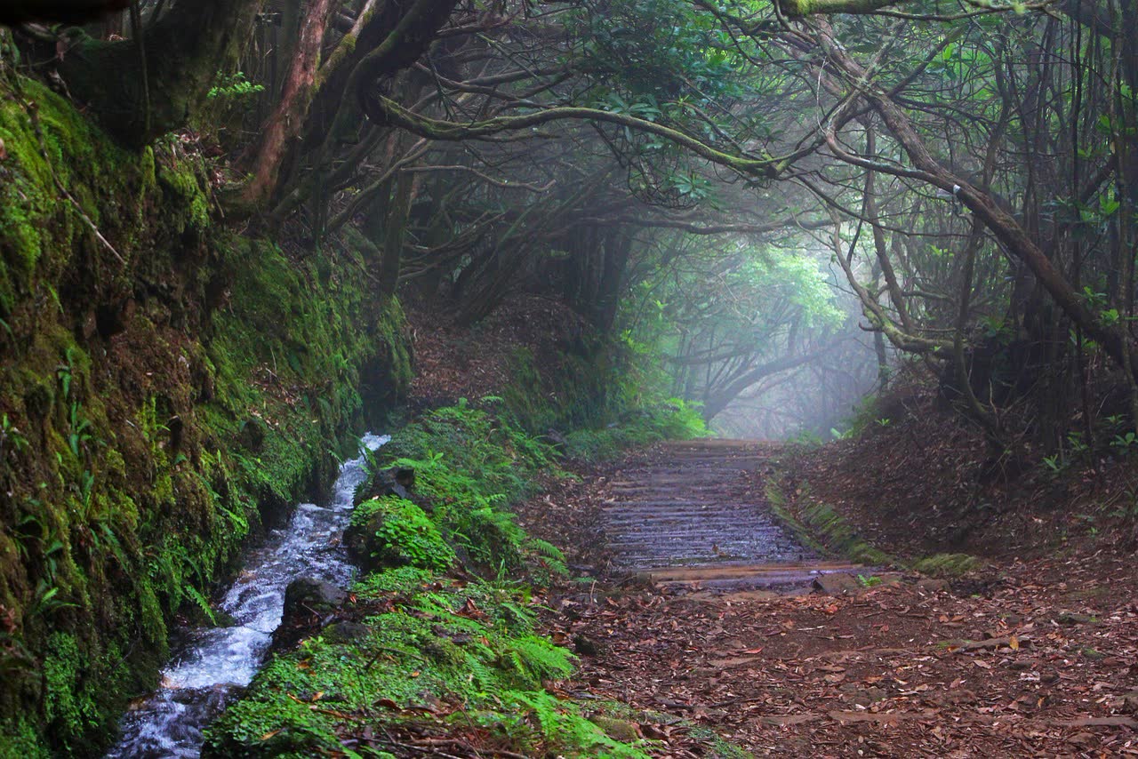 The Best Tours in Madeira