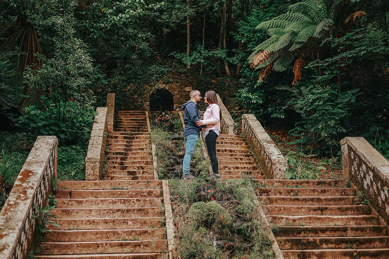 The Bucaco Forest and Palace