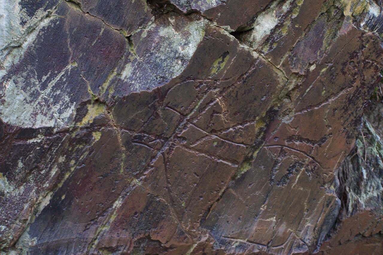 The Coa Valley Rock Art