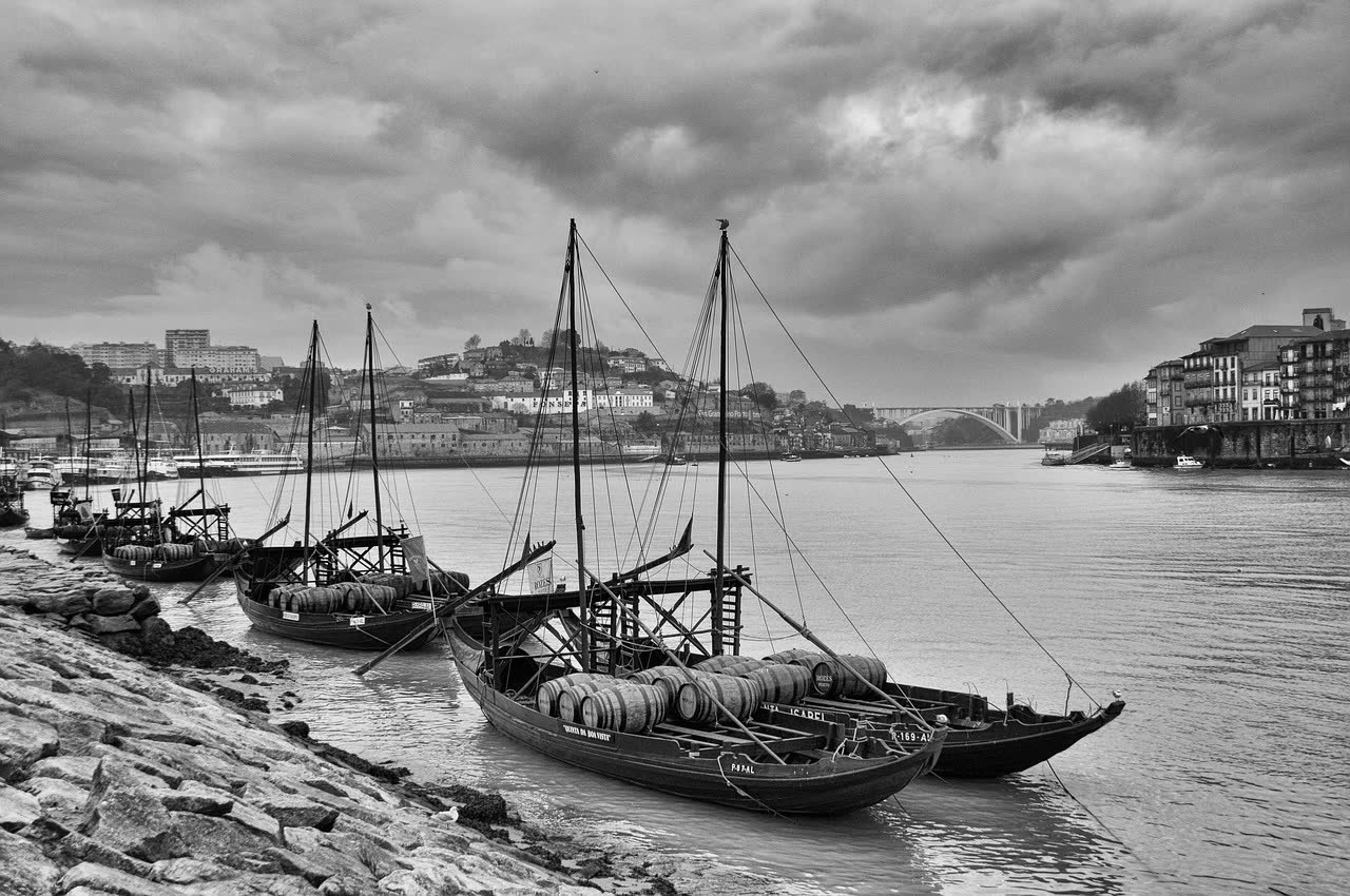 Douro River Cruises