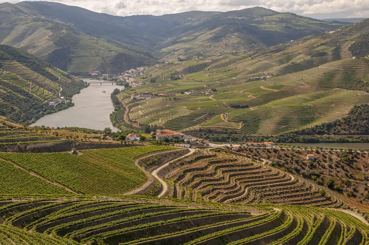 The Best Douro Valley Hotels and Wine Estates