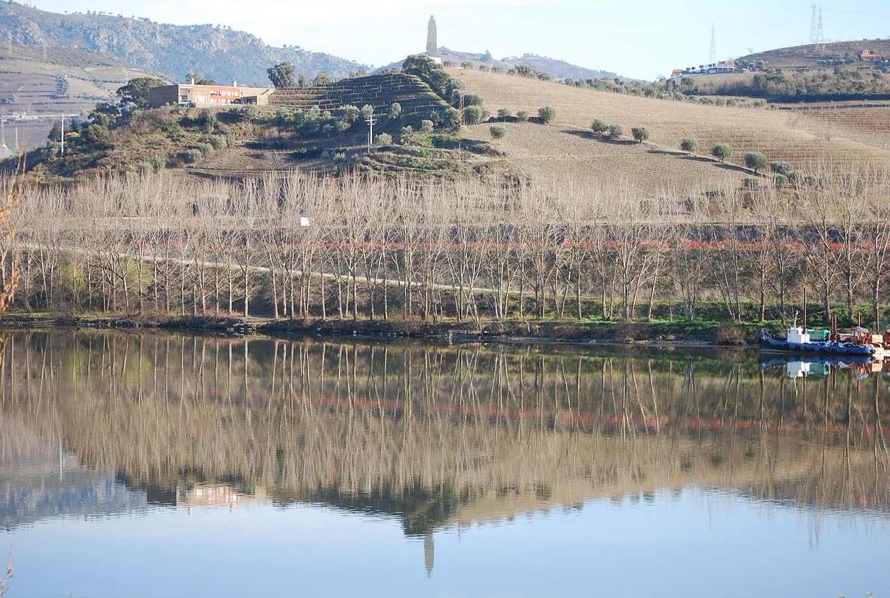 The Douro Valley in Winter
