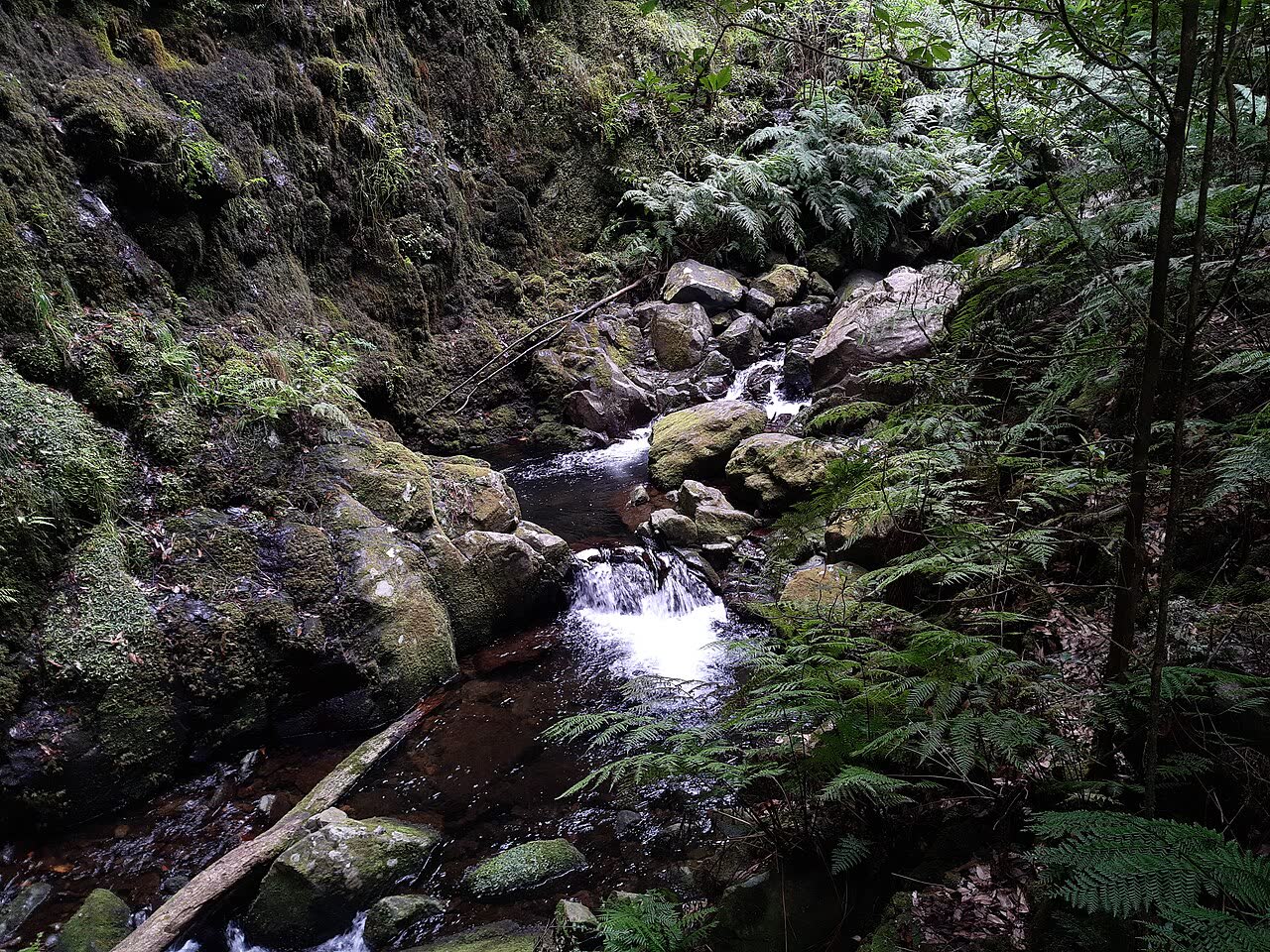 Levada do Rei (PR18), Madeira