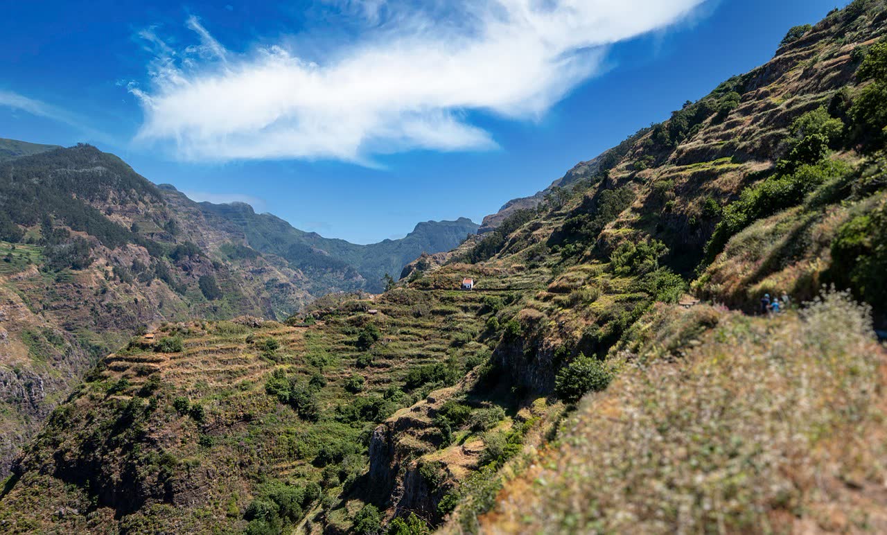Madeira Levada Walks
