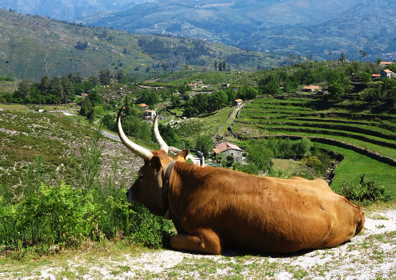 Peneda-Geres National Park
