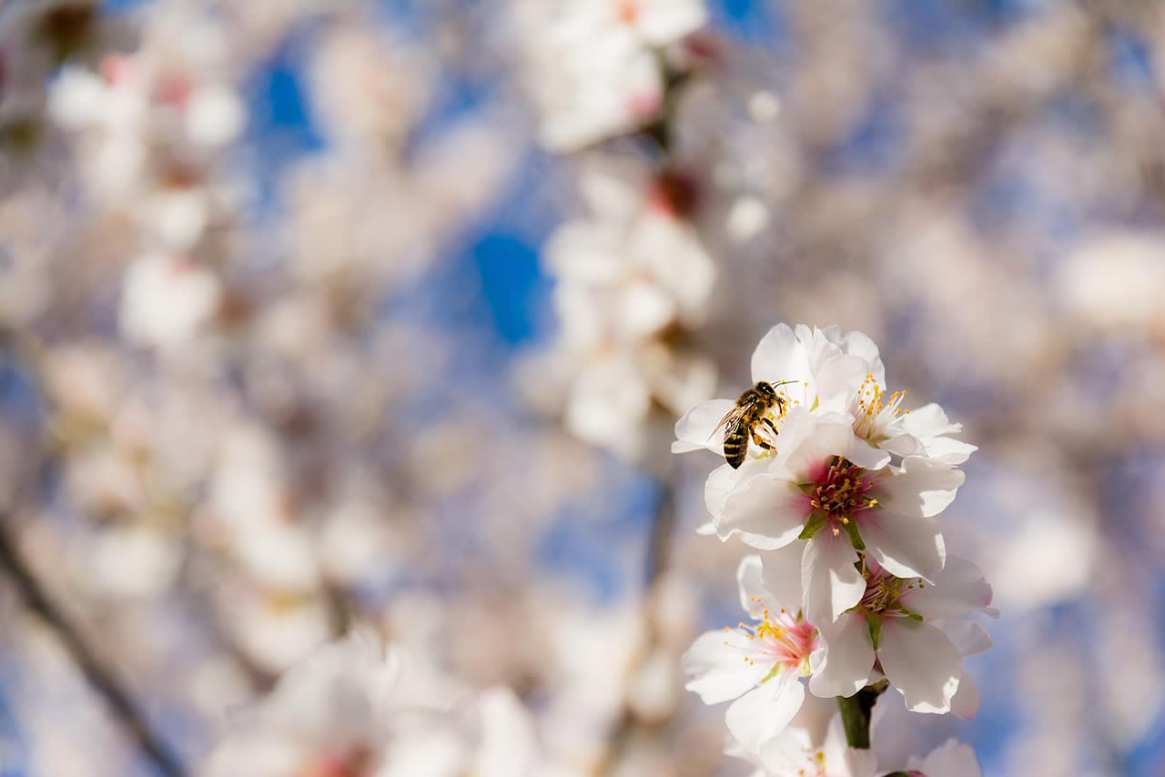 Portugal in March