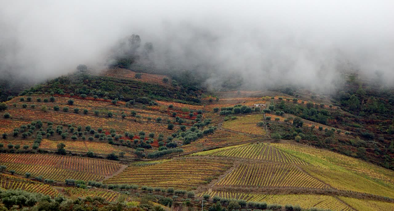 Portugal in November