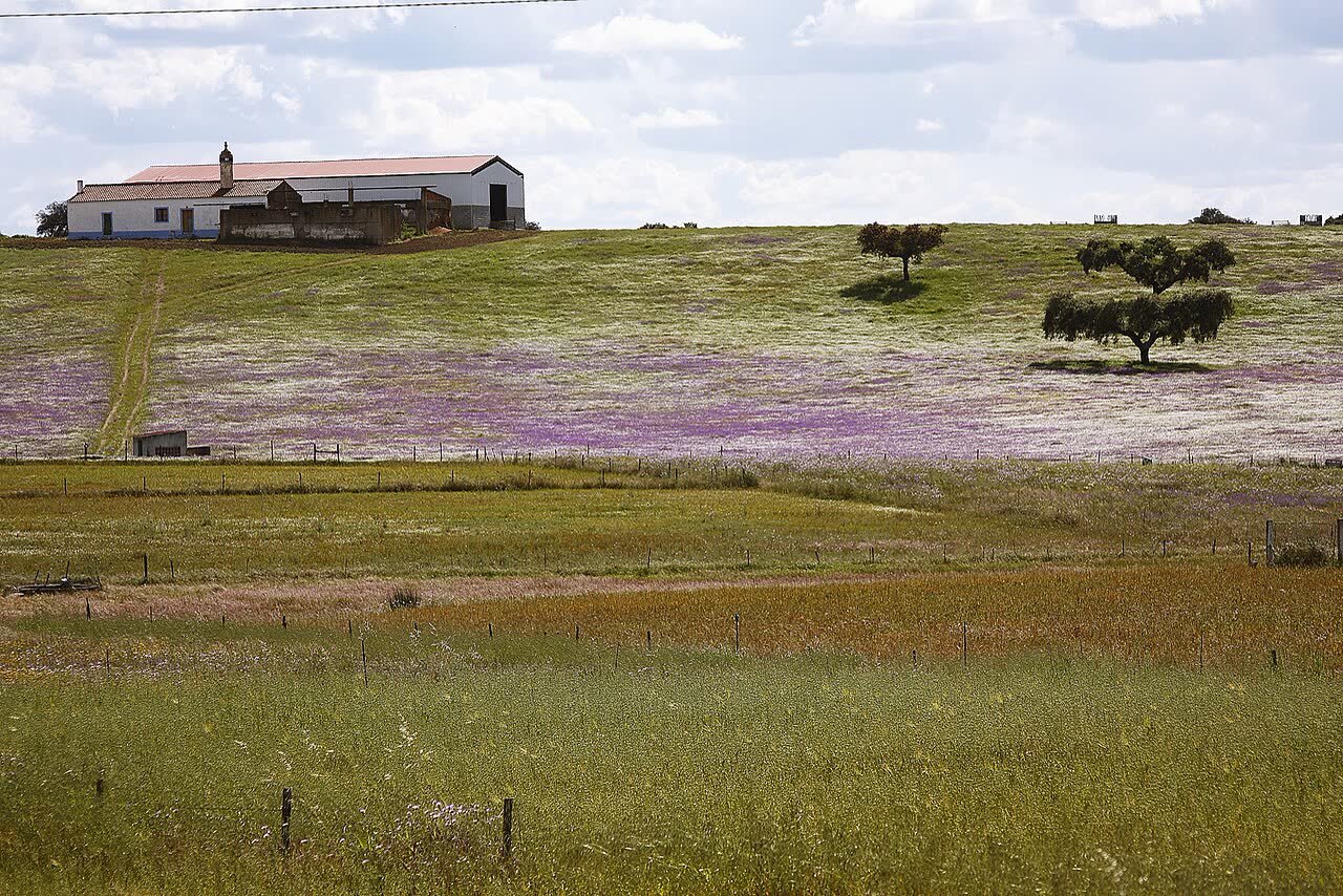 Portugal in Spring