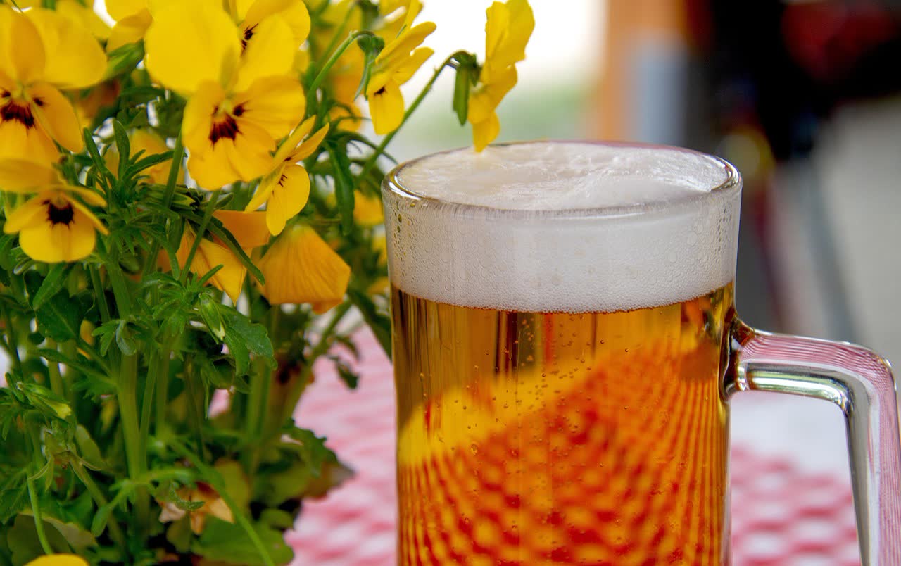 Portuguese Beer