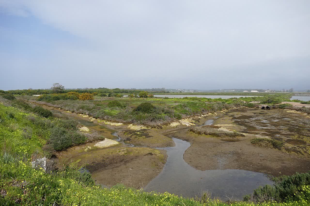 The Ria Formosa Natural Park