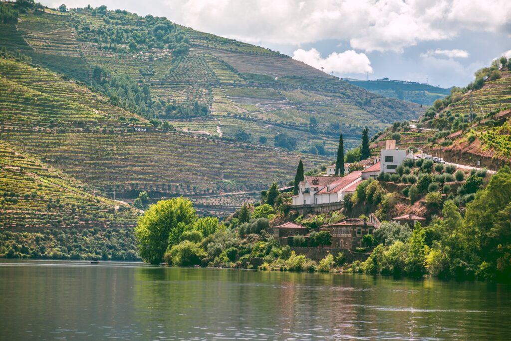 Douro Valley river cruise